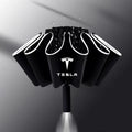 Tesla Reverse umbrella with a light